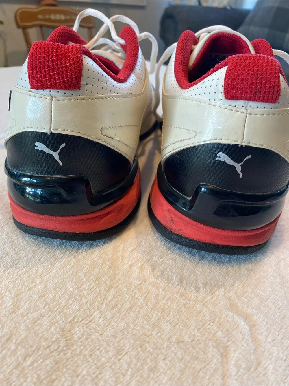 Puma tazon fm